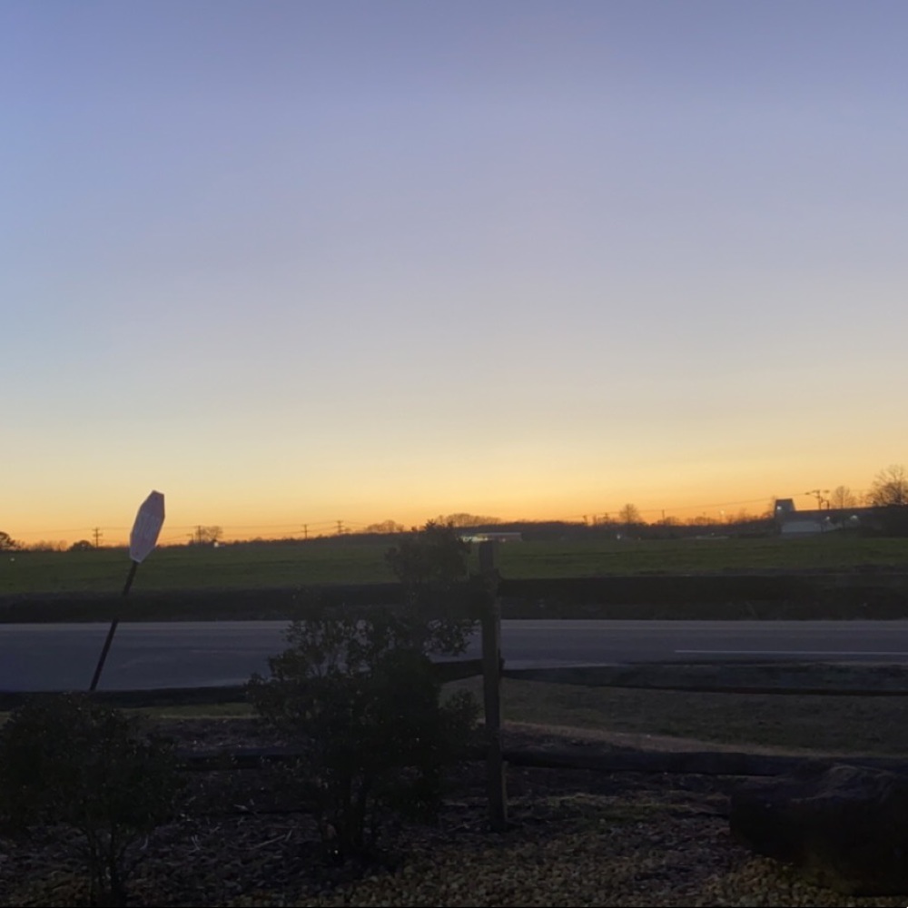 Meet your Posher, Frances